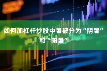 如何加杠杆炒股中暑被分为“阴暑”和“阳暑”